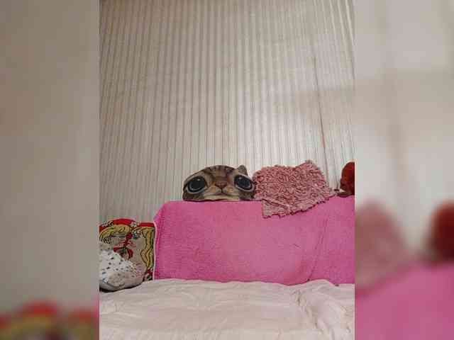 milisenta webcam