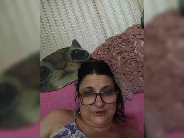 milisenta webcam