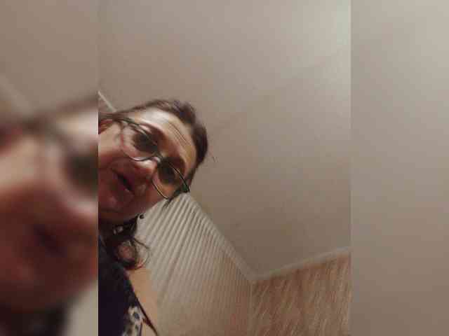 milisenta webcam