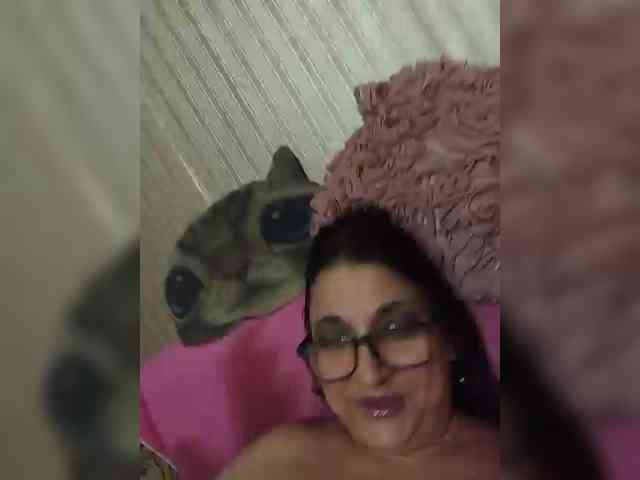 milisenta webcam