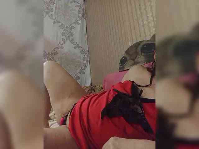 milisenta webcam