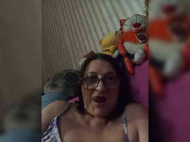 milisenta webcam