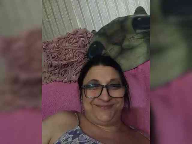 milisenta webcam