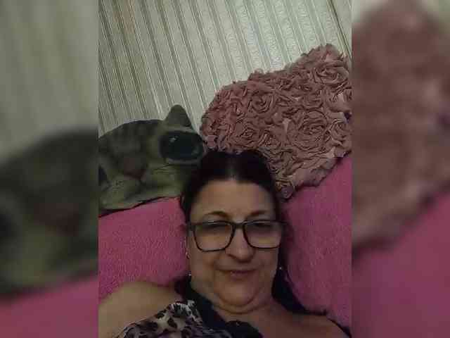 milisenta webcam
