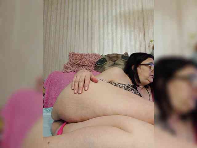 milisenta webcam