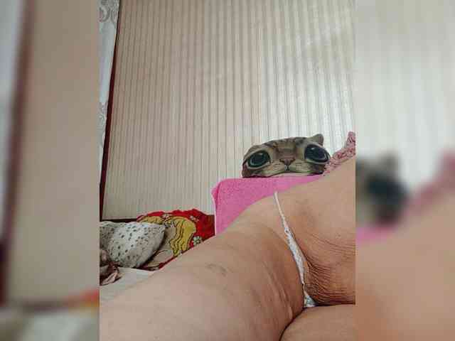 milisenta webcam