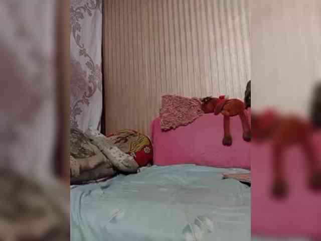 milisenta webcam