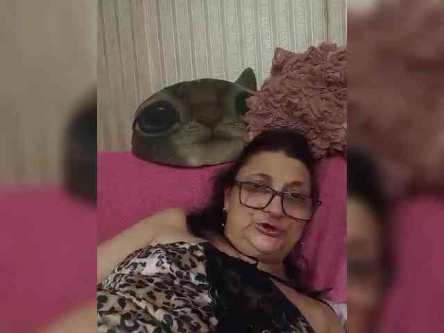 milisenta webcam