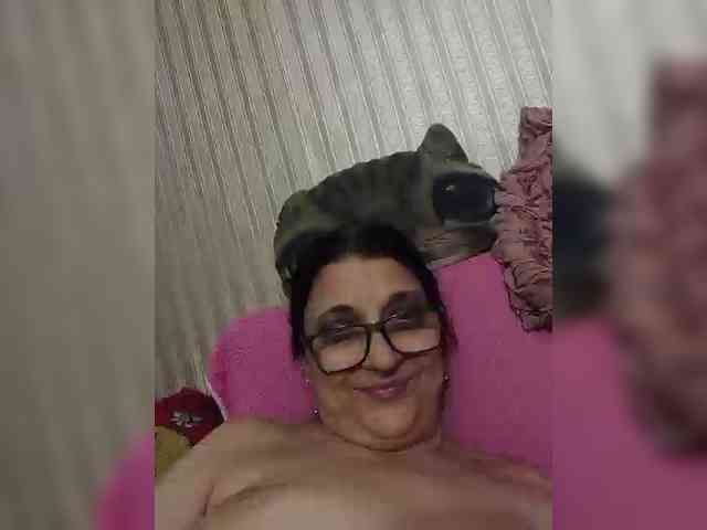 milisenta webcam