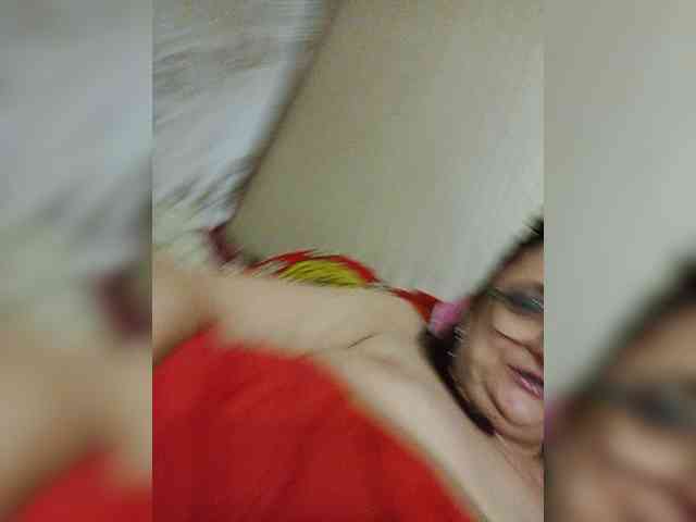 milisenta webcam