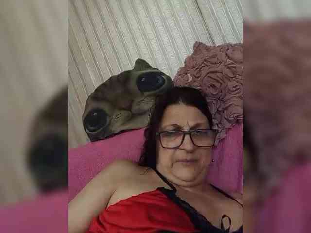 milisenta webcam