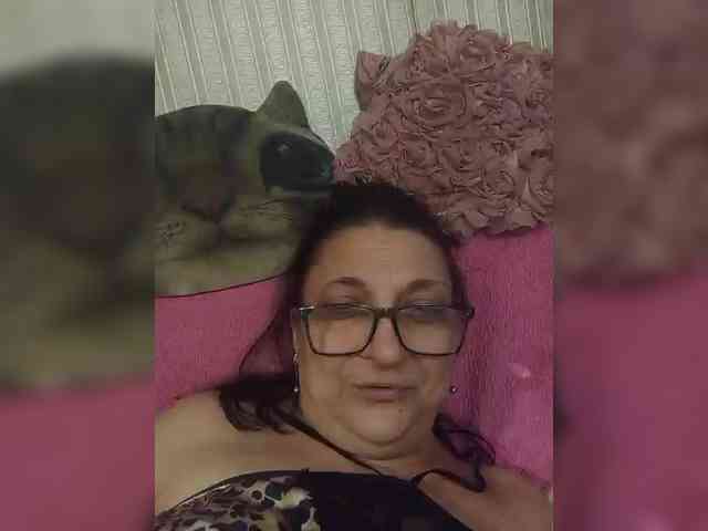 milisenta webcam