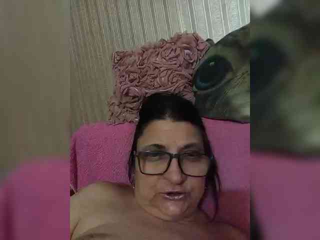 milisenta webcam