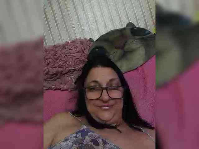 milisenta webcam