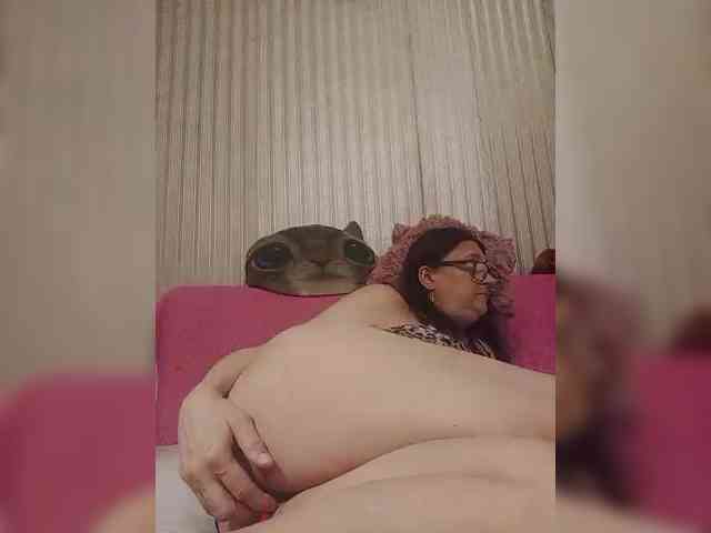 milisenta webcam