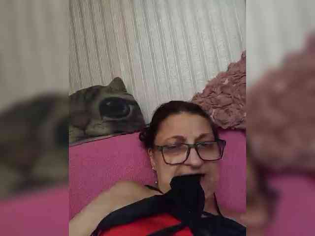 milisenta webcam