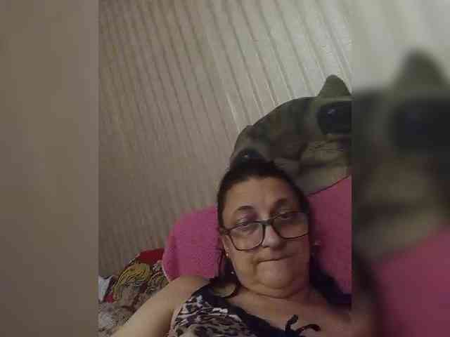 milisenta webcam