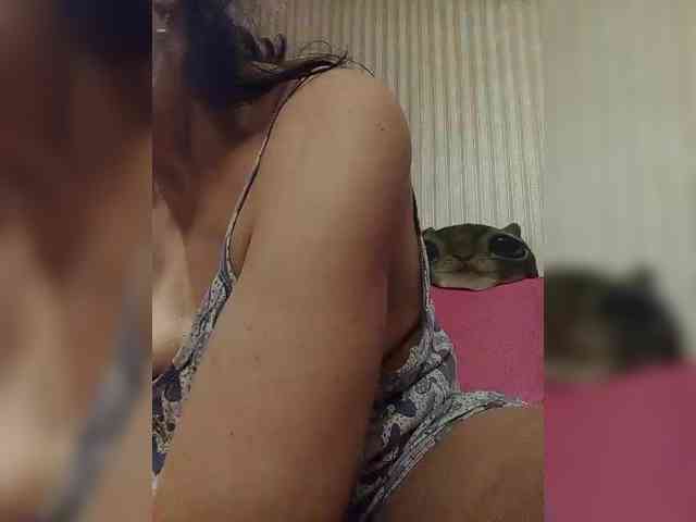 milisenta webcam