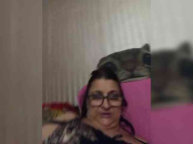 milisenta webcam