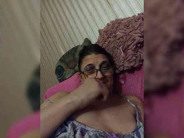 milisenta webcam