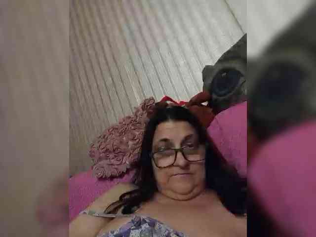 milisenta webcam