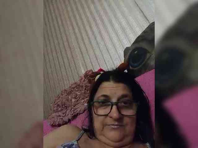 milisenta webcam