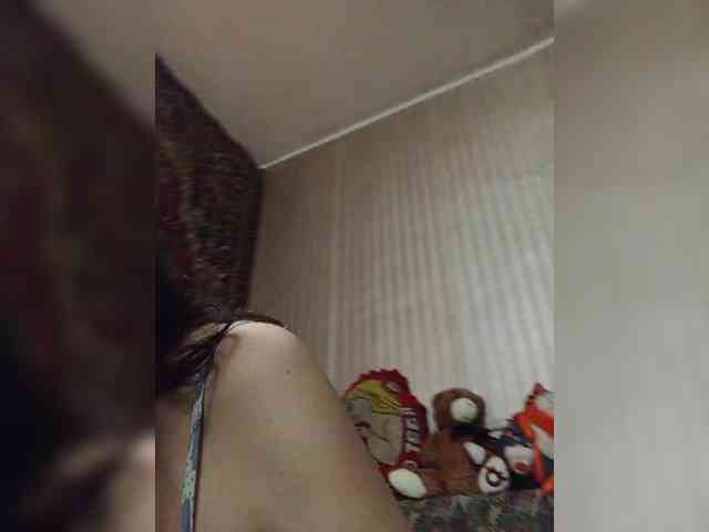 milisenta webcam
