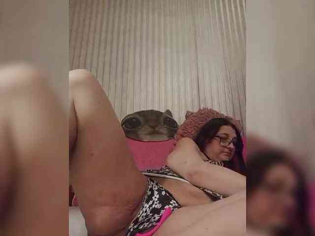 milisenta webcam