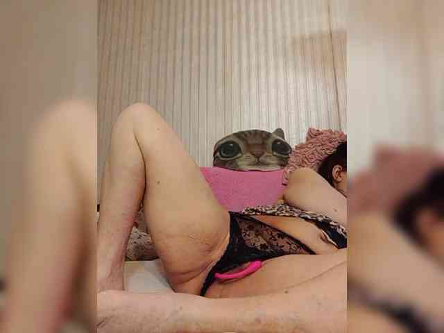 milisenta webcam