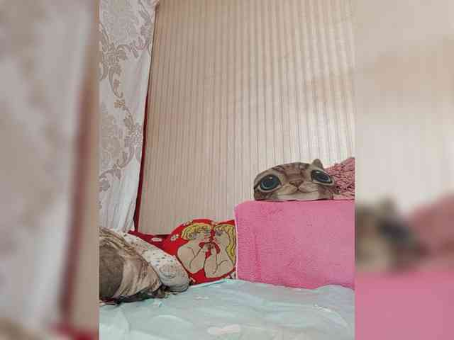 milisenta webcam