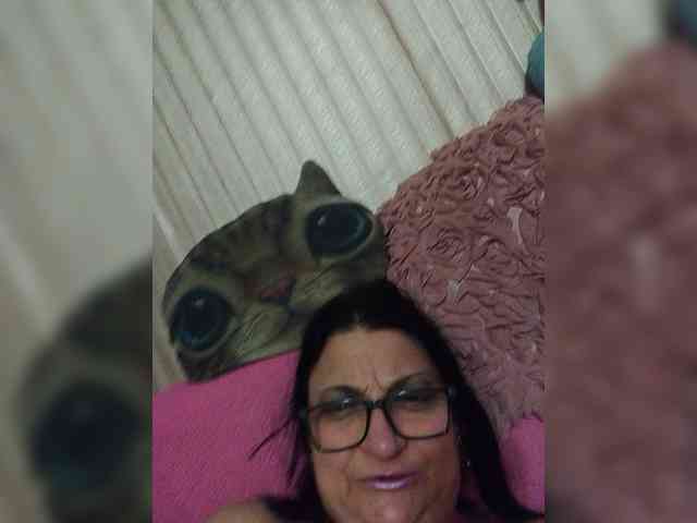 milisenta webcam