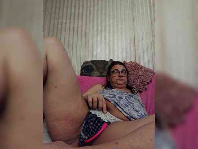 milisenta webcam