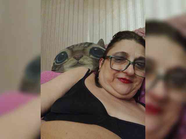 milisenta webcam