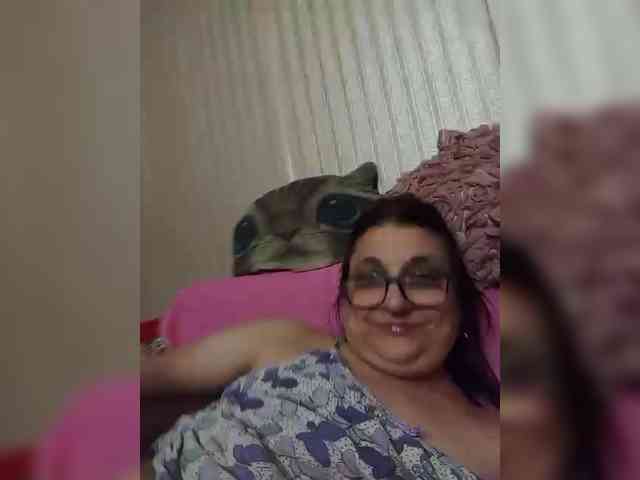 milisenta webcam