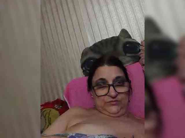 milisenta webcam