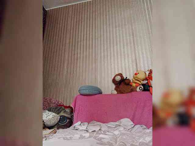 milisenta webcam