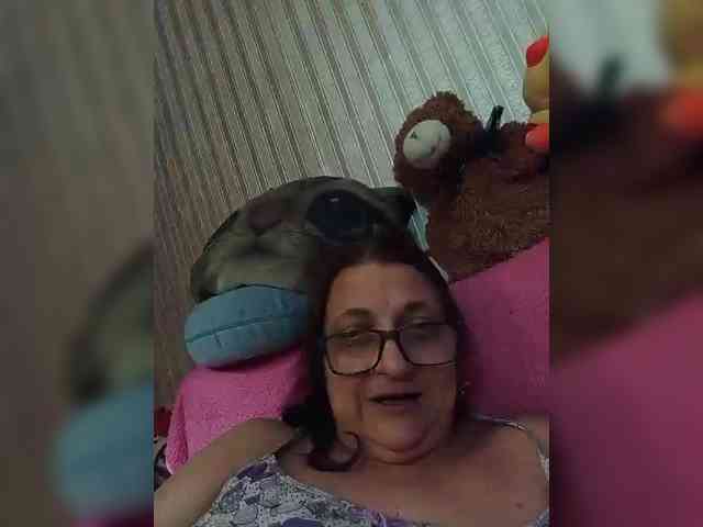 milisenta webcam