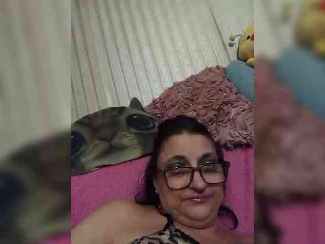 milisenta webcam