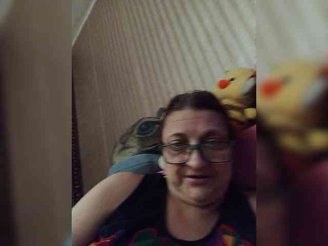 milisenta webcam