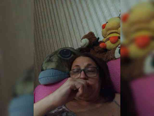 milisenta webcam