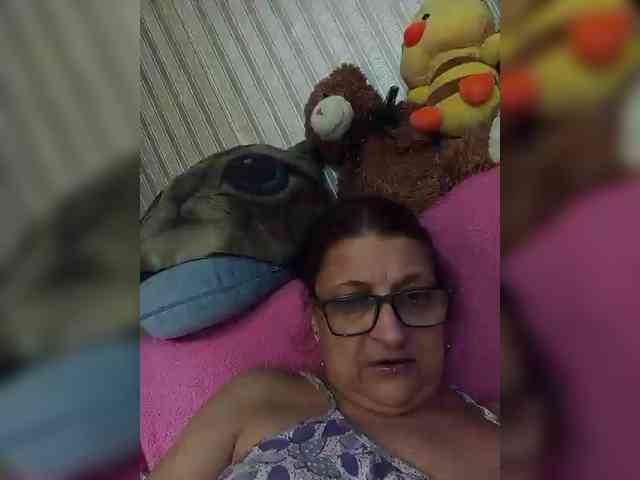 milisenta webcam