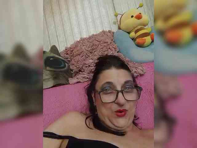 milisenta webcam