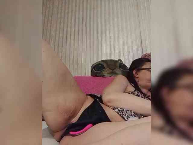 milisenta webcam