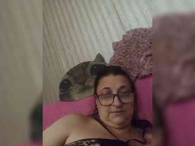 milisenta webcam
