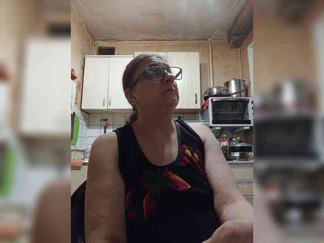 milisenta webcam