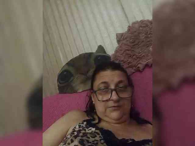 milisenta webcam