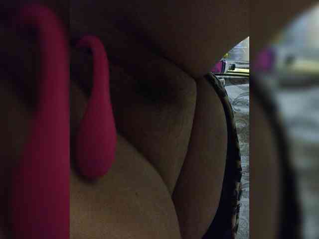 milisenta webcam