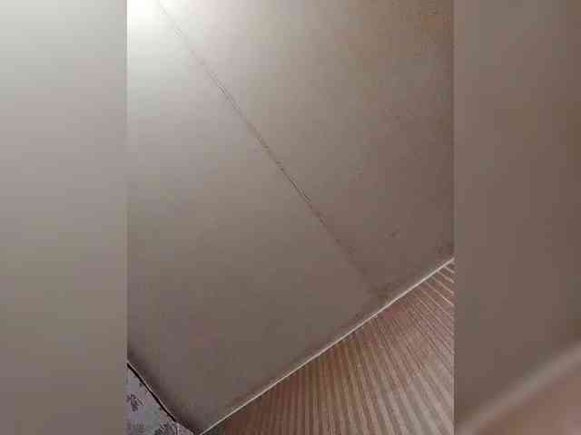 milisenta webcam