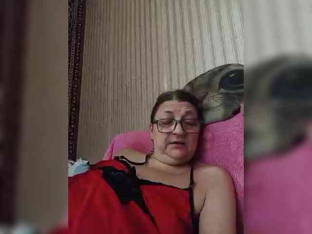 milisenta webcam