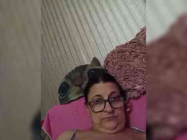 milisenta webcam